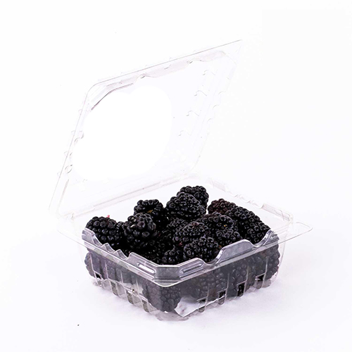http://atiyasfreshfarm.com/public/storage/photos/1/New Products 2/Blackberries Box (170g).jpg